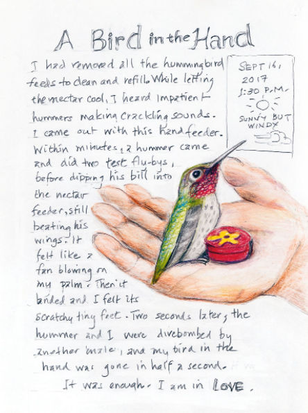 The Backyard Bird Chronicles (2024 B&N Gift Book of the Year)